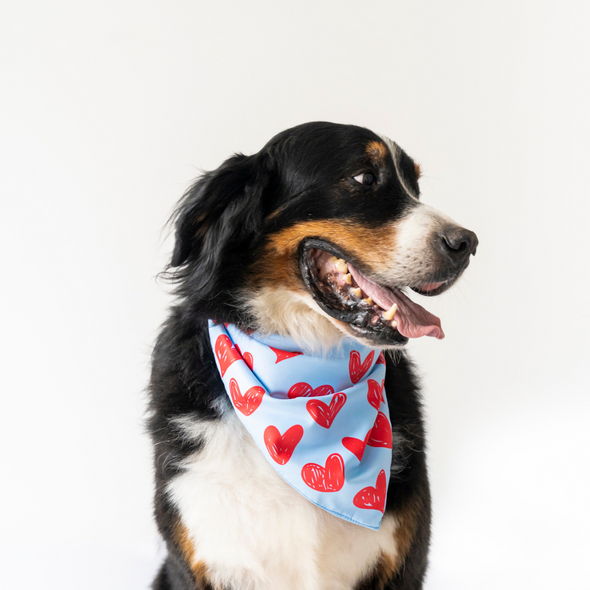 Hearts Bandana