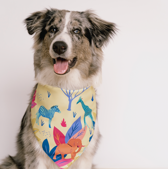 African Savanna Bandana