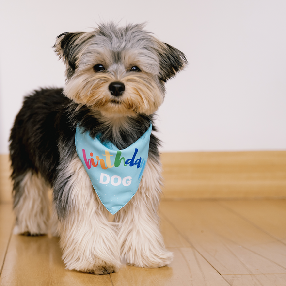 Birthday Bandana