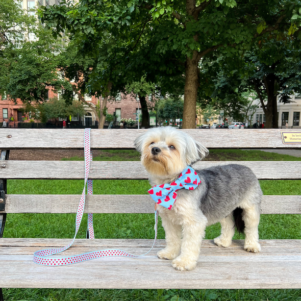 Hearts Bow-Tie