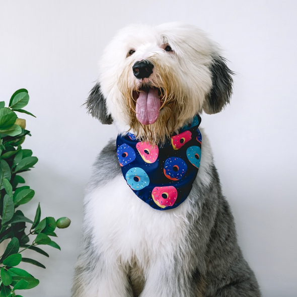 Donuts Bandana