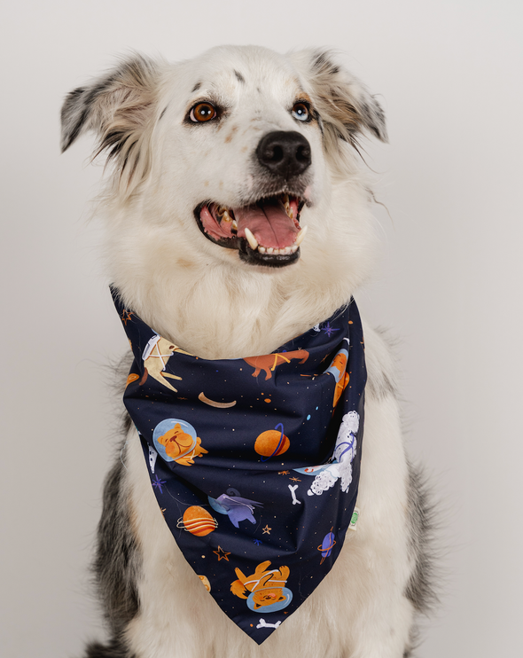 Space Dogs Bandana