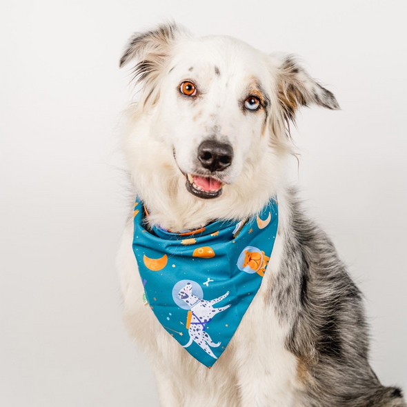 Space Dogs Bandana