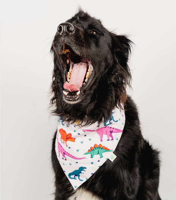 Dinosaurs Bandana