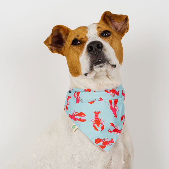 Lobsters Bandana