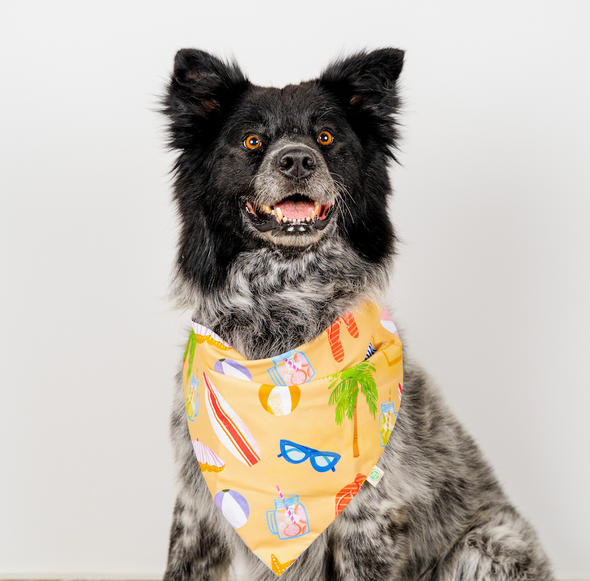 Summer Bandana