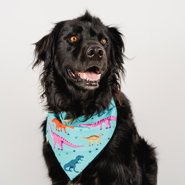 Dinosaurs Bandana