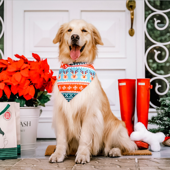 Ugly Sweater Bandana