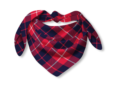 Plaid Bandana