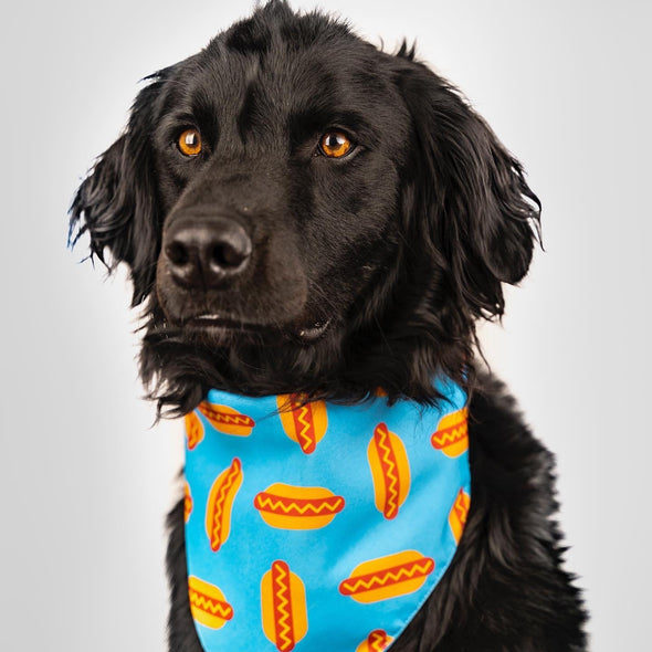 Hotdogs Bandana