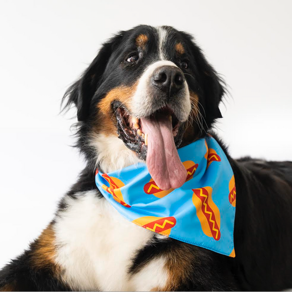 Hotdogs Bandana