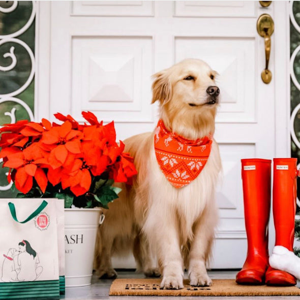 Christmas Bandana