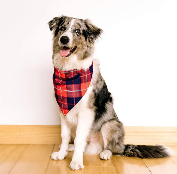 Plaid Bandana