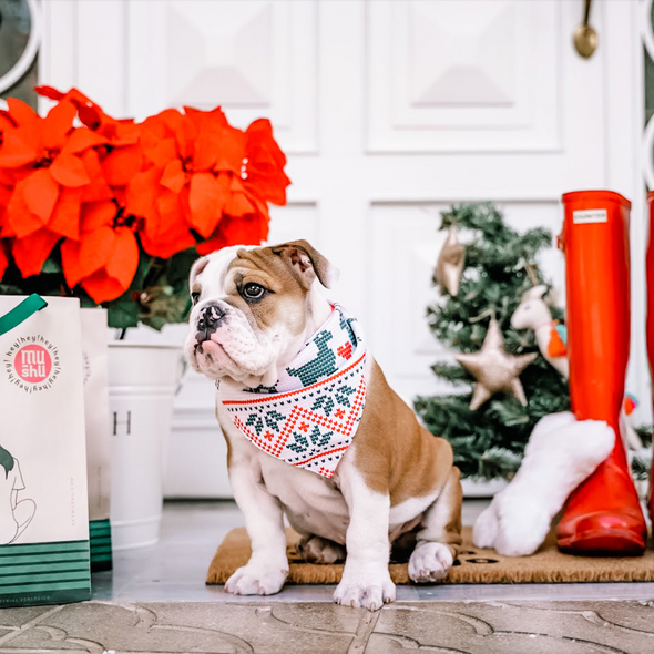 Christmas Bandana