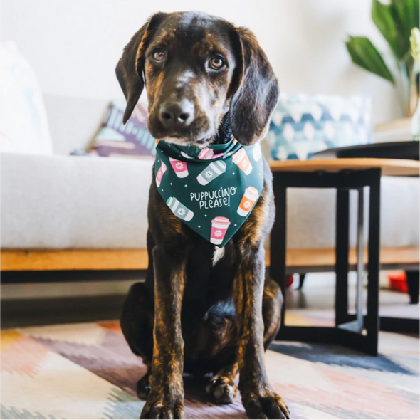 Puppuccino Bandana