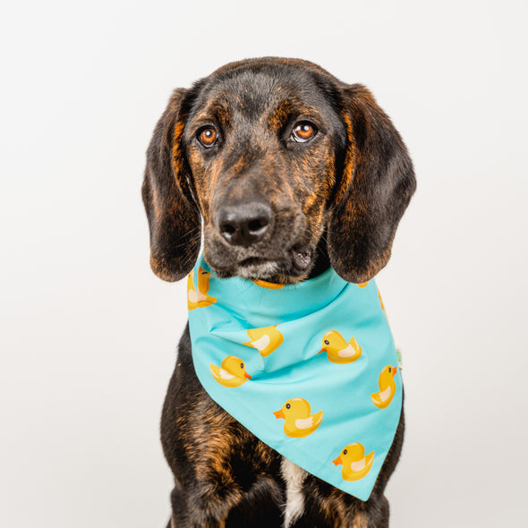 Rubber Ducks Bandana