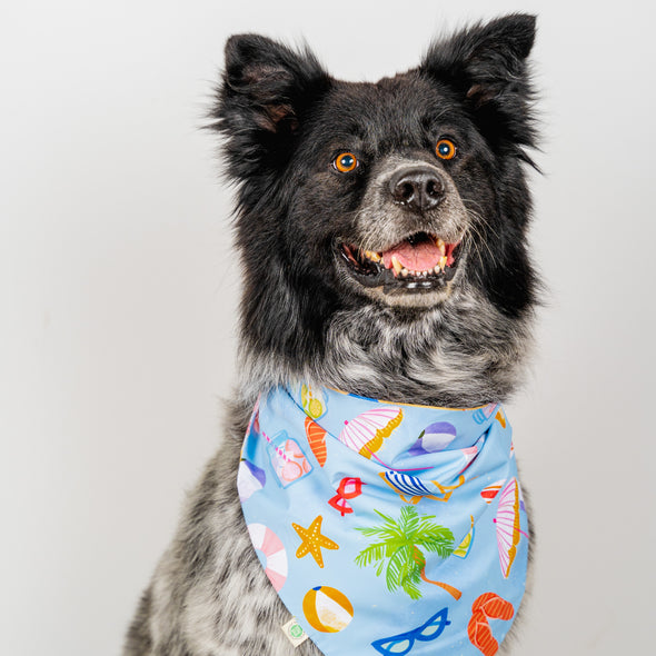 Summer Bandana