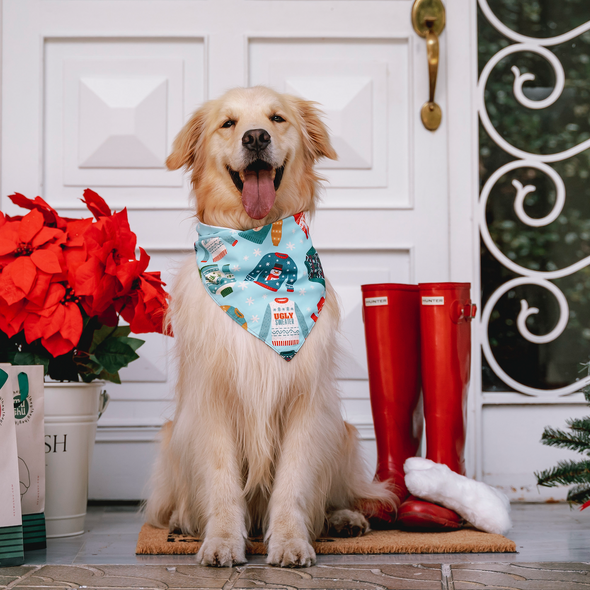 Ugly Sweater Bandana