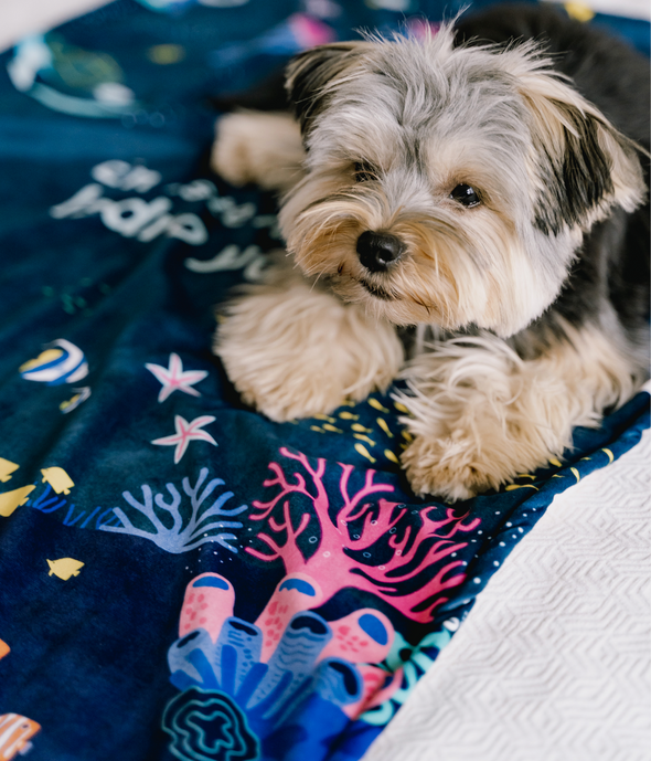 Under the Sea Blanket